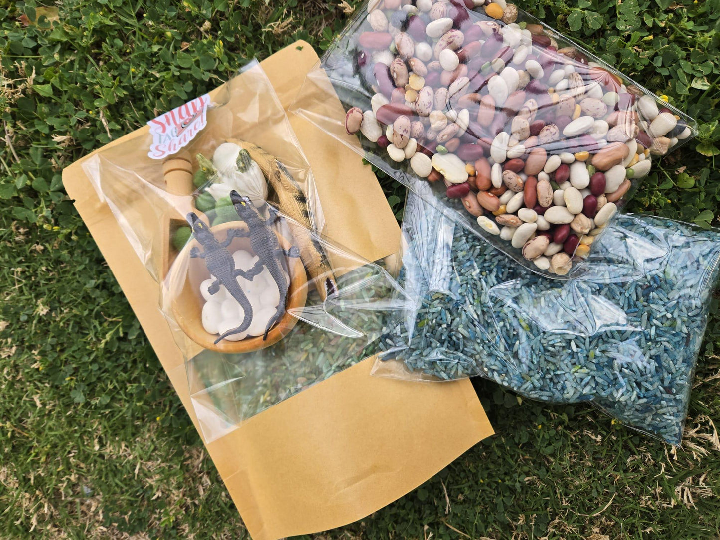 Alligator Life Cycle Sensory Kit – Inspired Nature & STEM Play