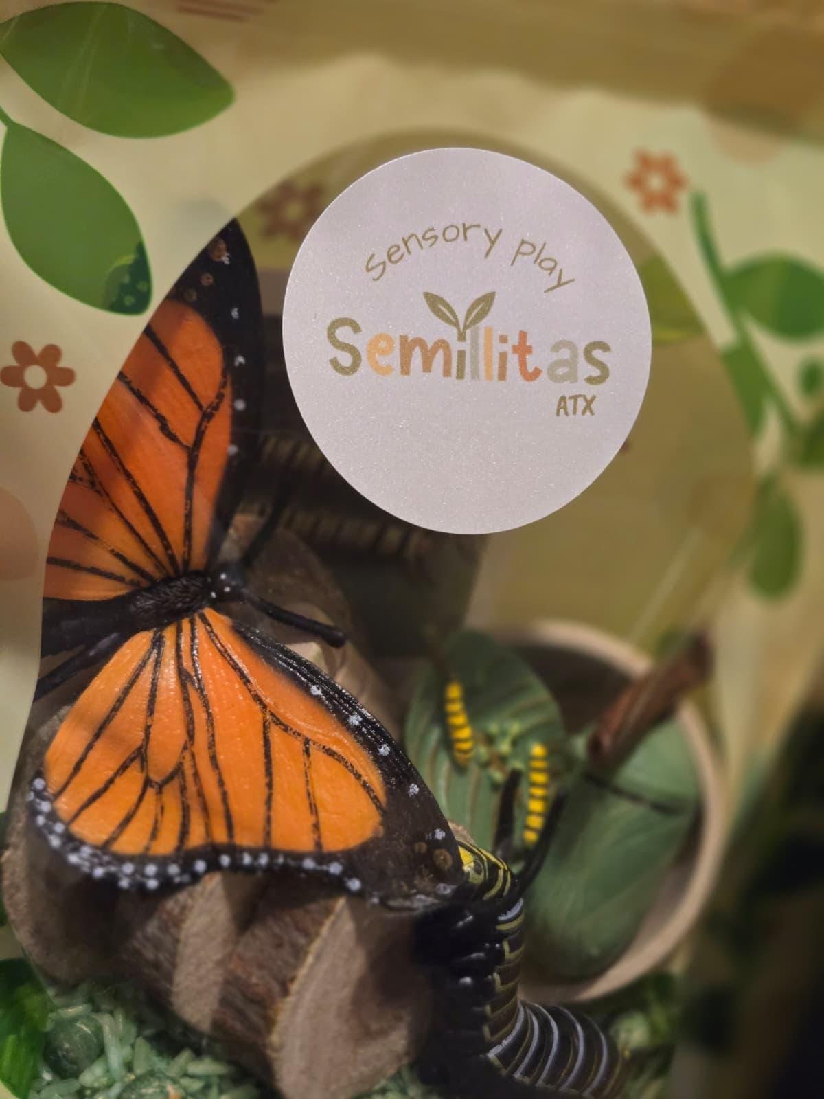 Butterfly Life Cycle Sensory Kit