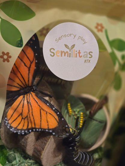 Butterfly Life Cycle Sensory Kit