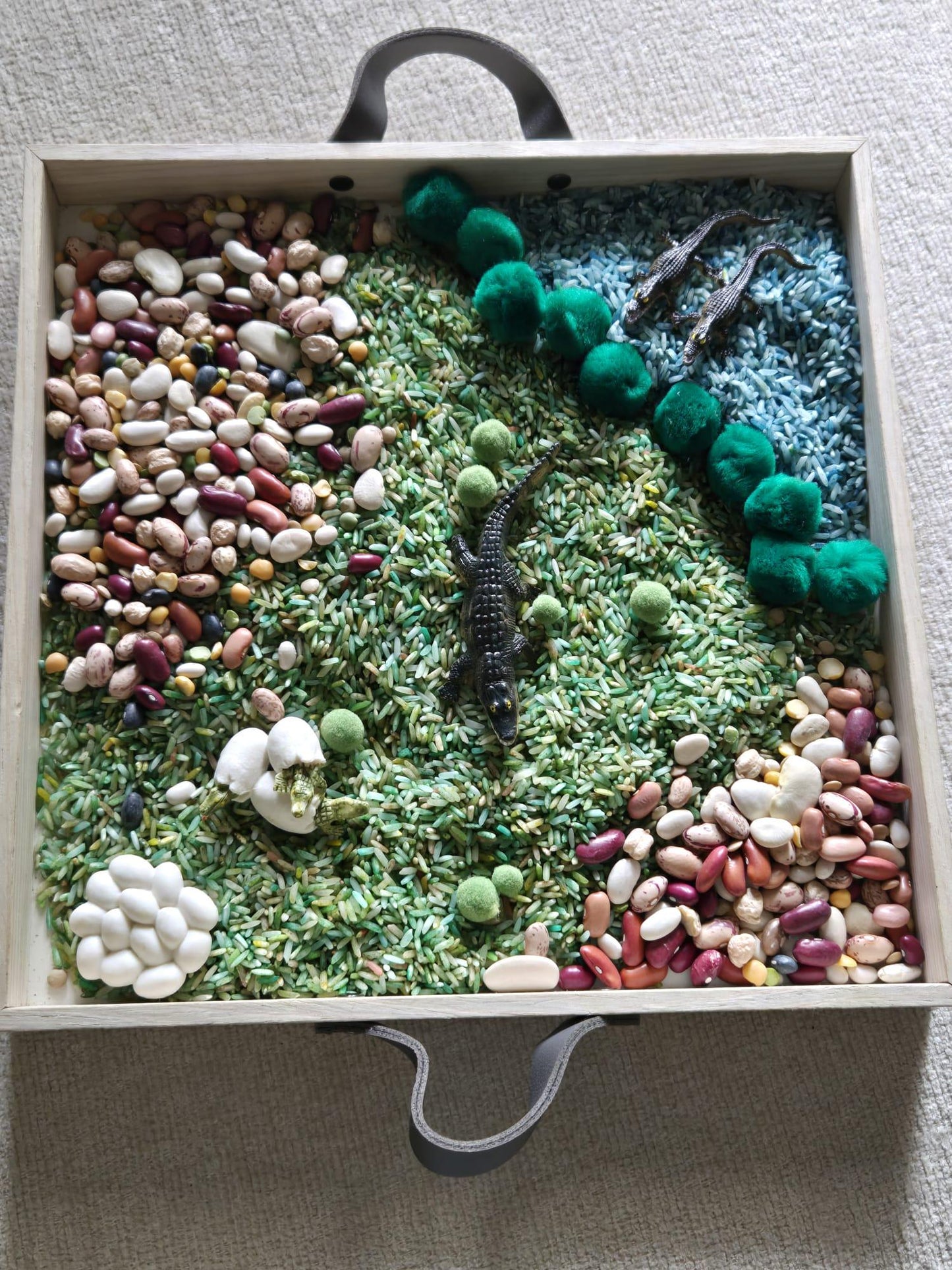 Alligator Life Cycle Sensory Kit – Inspired Nature & STEM Play