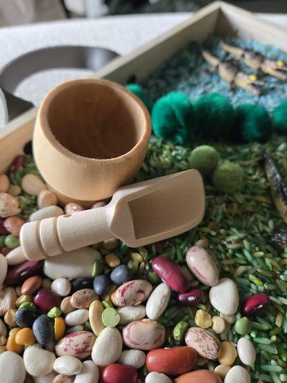 Alligator Life Cycle Sensory Kit – Inspired Nature & STEM Play