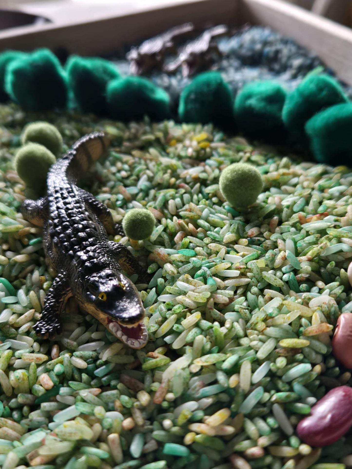 Alligator Life Cycle Sensory Kit – Inspired Nature & STEM Play