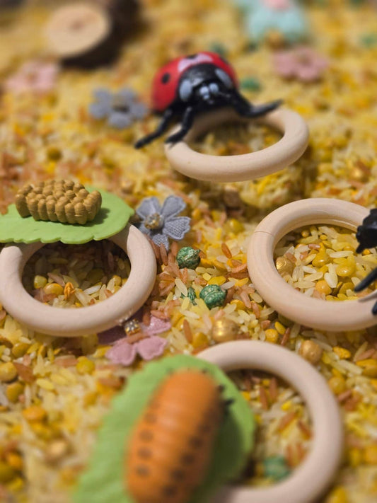 Life Cycle of a Ladybug Sensory Kit – Nature & Insect Study