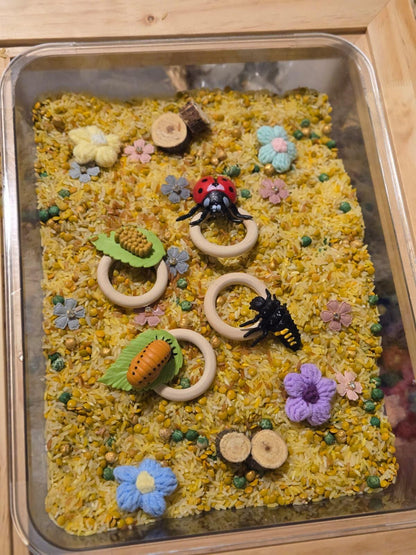 Life Cycle of a Ladybug Sensory Kit – Nature & Insect Study